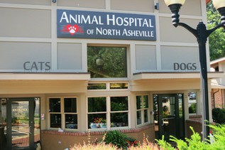 Animal Hospital of North Asheville