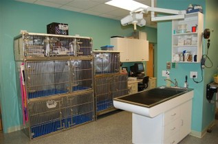 CHARLOTTE STREET ANIMAL HOSPITAL - Asheville, NC