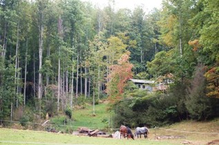 Residence New Construction - Barnardsville, NC