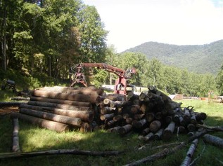 Residence New Construction - Barnardsville, NC